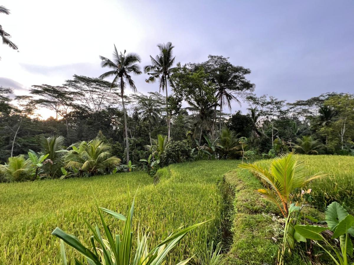 Uma Mupu Retreat Payangan Exterior foto