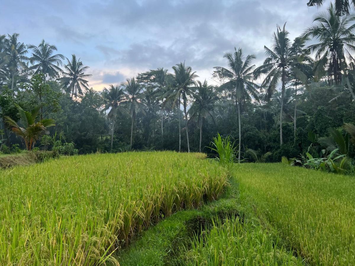 Uma Mupu Retreat Payangan Exterior foto
