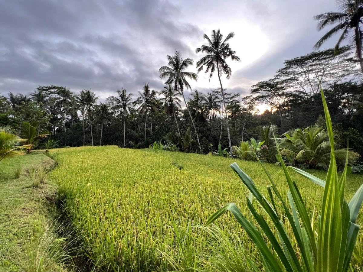 Uma Mupu Retreat Payangan Exterior foto